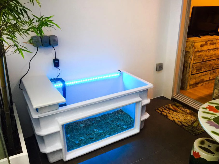 Fibre Glass Tank Ss Aquarium